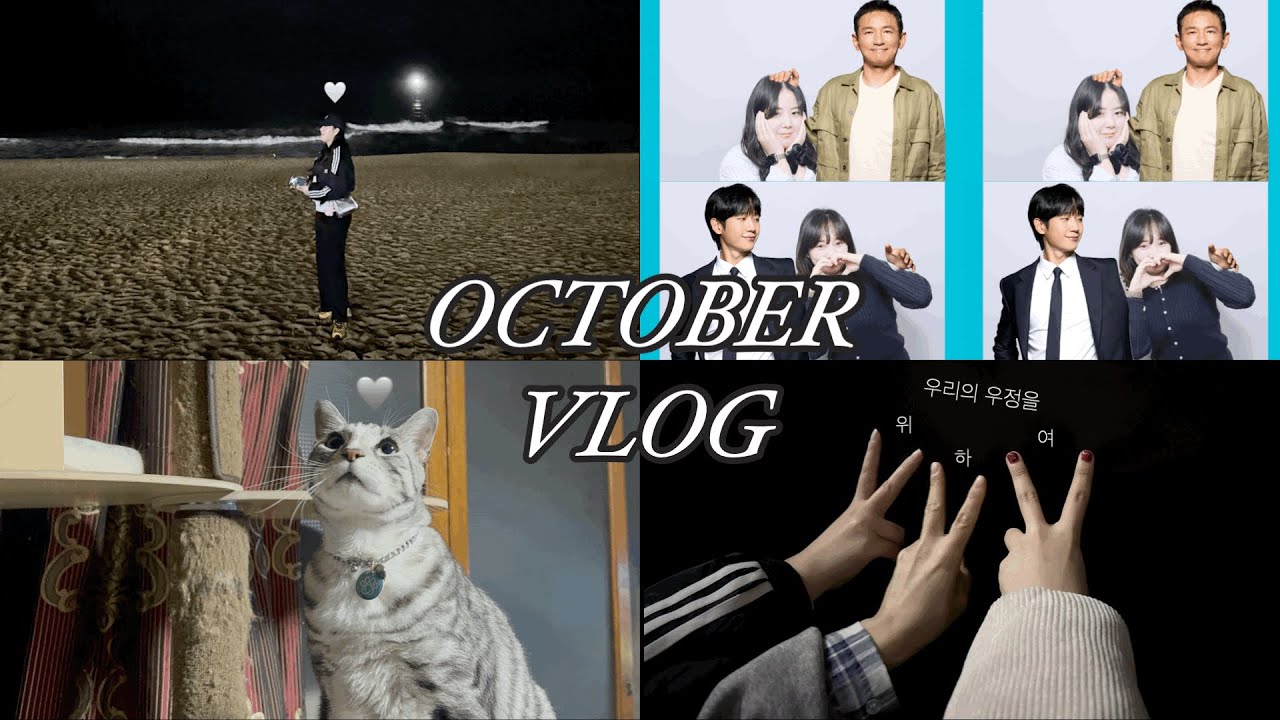 [일상VLOG] 바쁘다 현대사회 먹방과 여행이 있는 10월일상🩵 #일상브이로그 #직장인브이로그 #밤바다 #정해인 #황정민 #배테랑2시사회