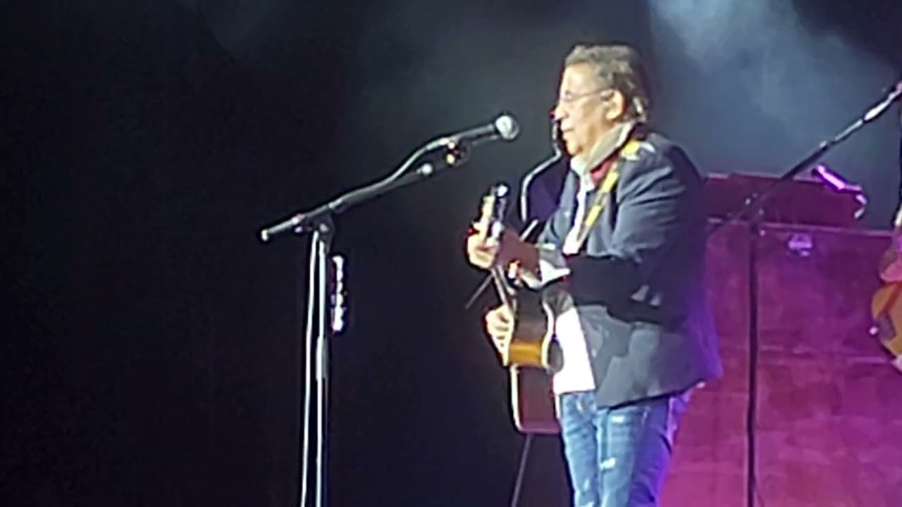 LAURENT VOULZY Live Carcassonne 28 Juillet 2025 LE CŒUR GRENADINE 