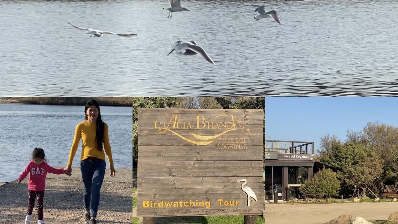 La Foce Sardinia | bird watching | new kayak Sardinia | Valledoria | beauty of Sardegna |