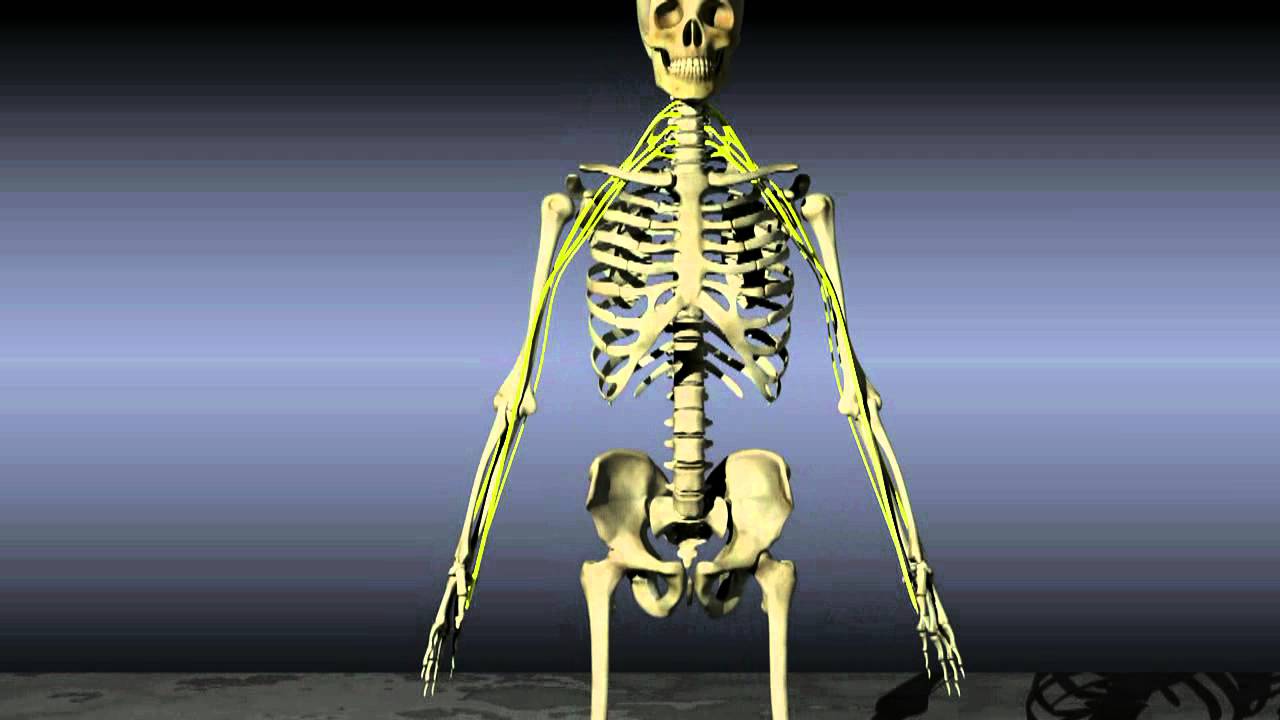 Radiculopathy