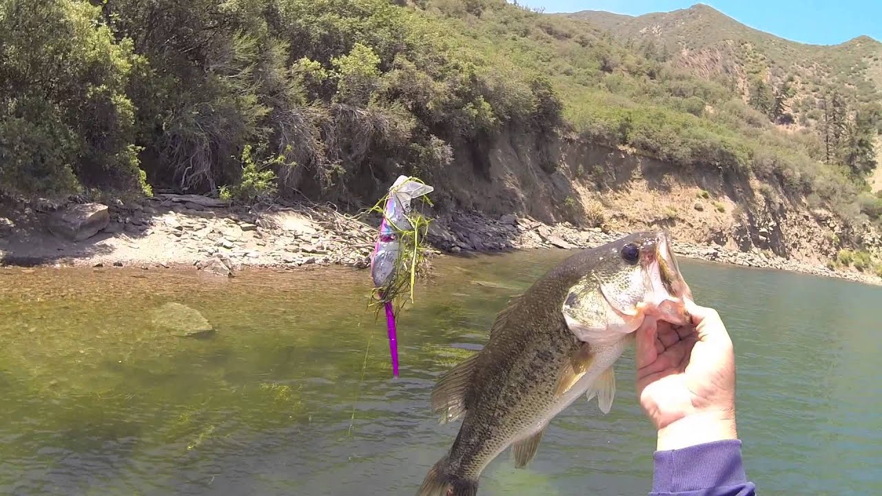 SPRO BBZ-1 Rat Fishing, Game On!