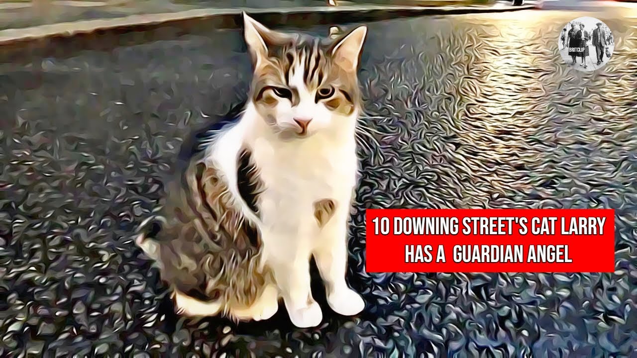 No.10's Downing Street Cat Larry has a Guardian Angel