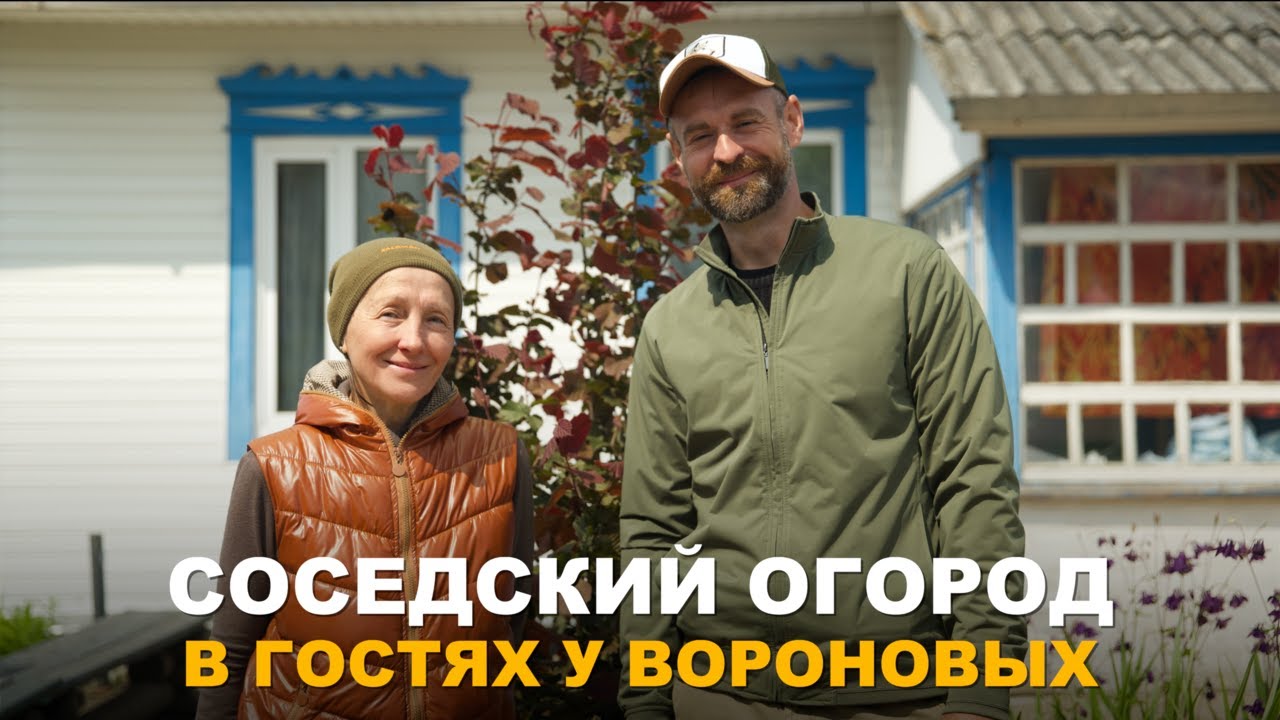 СОСЕДСКИЙ ОГОРОД. Окультуривание почвы, смешанные посадки и благоустройство участка.