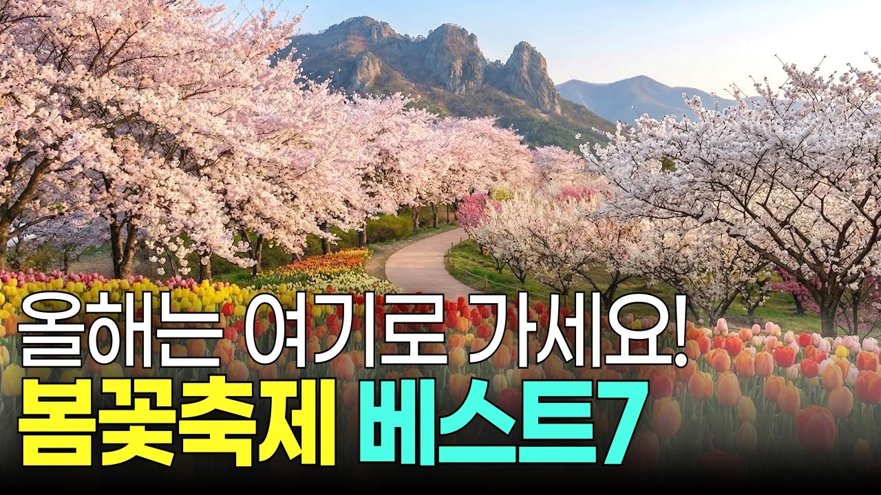 국내 봄꽃 축제 어디가 최고? 2026 베스트7 한눈에! 올해는 꼭 다녀오세