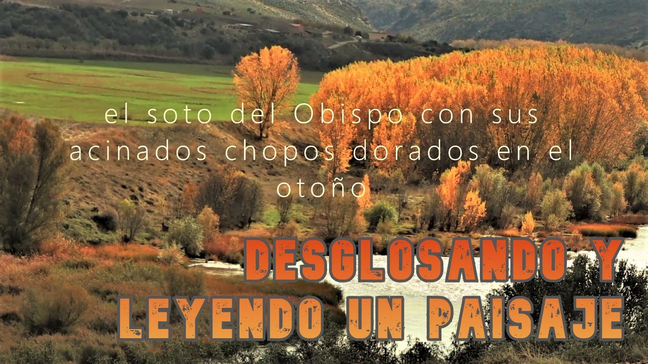 DESGLOSANDO Y LEYENDO UN PAISAJE en el término de Almaraz de Duero