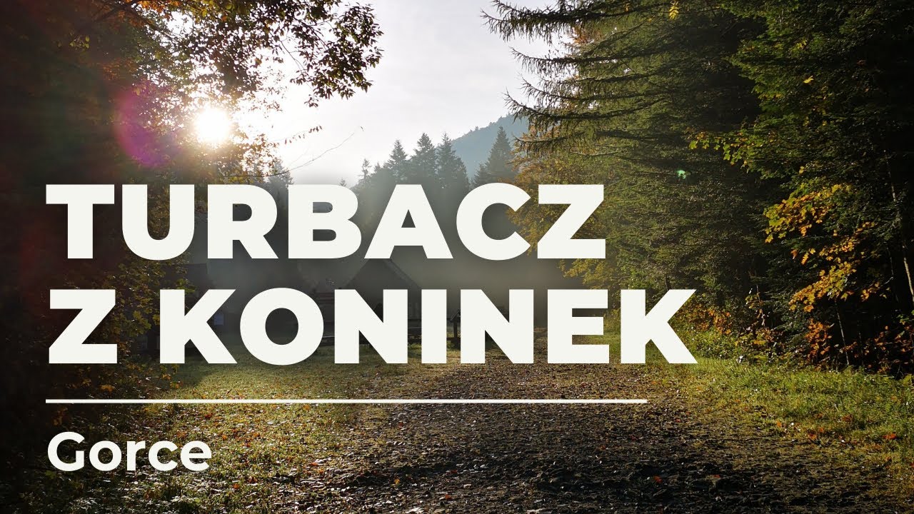 Na Turbacz w Gorcach z Koninek - łatwa wycieczka niedaleko Krakowa