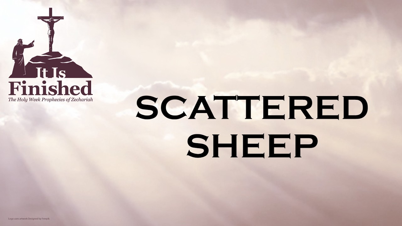 It Is Finished - Scattered Sheep