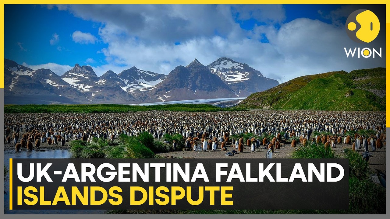 Argentine President's New Proposal on Archipelago Dispute With UK | WION News
