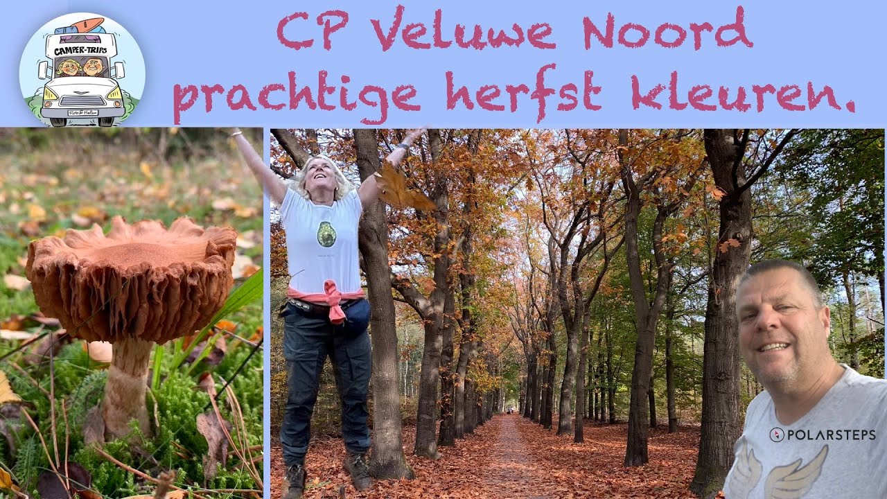 🇳🇱 CP Veluwe Noord - Prachtige herfst kleuren #75