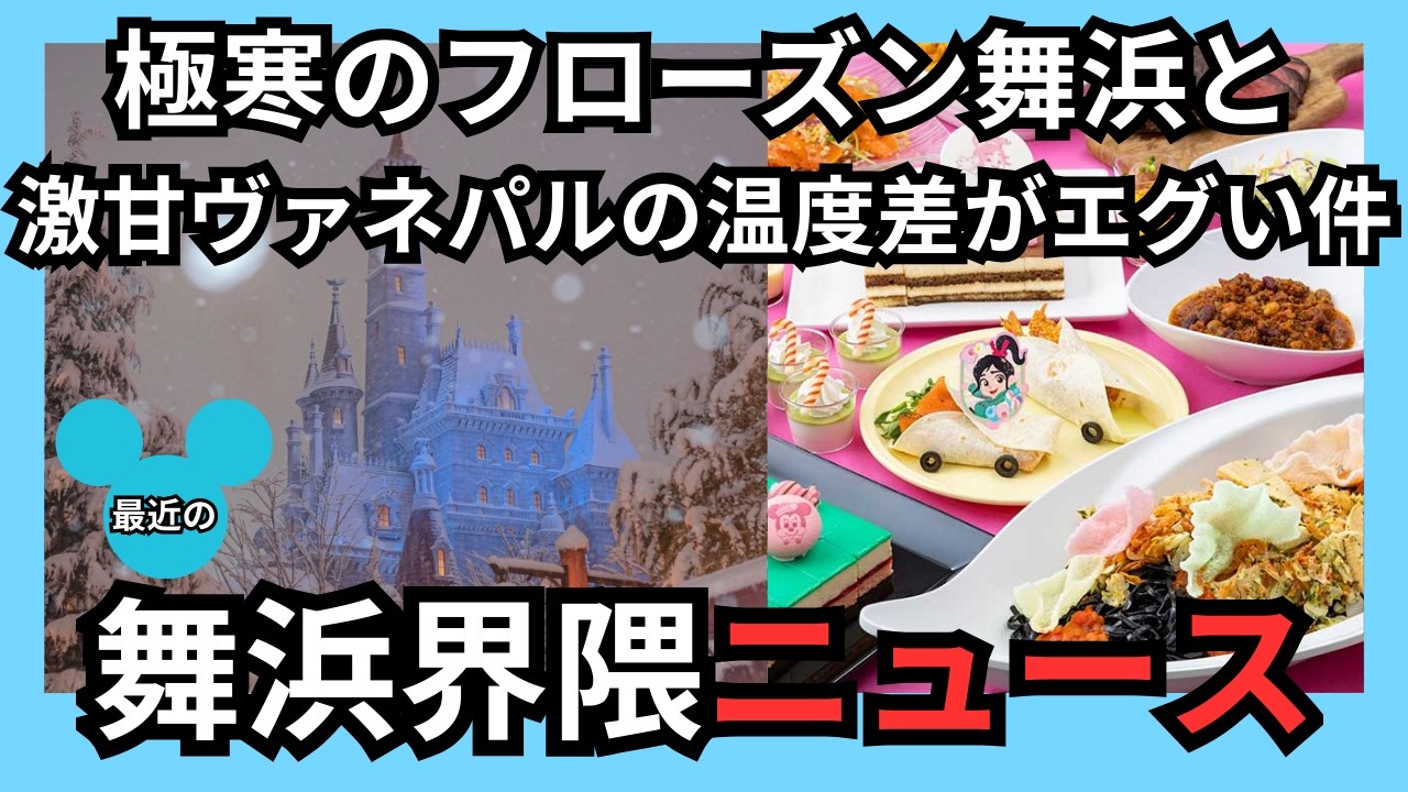 【舞浜の雪/ヴァネパル最新情報/首都圏パス】舞浜が完全アレンデール化した日。ヴァネロペ激甘最新情報と徹夜組への怒りが限界突破した件#ディズニー #disney #ニュース 