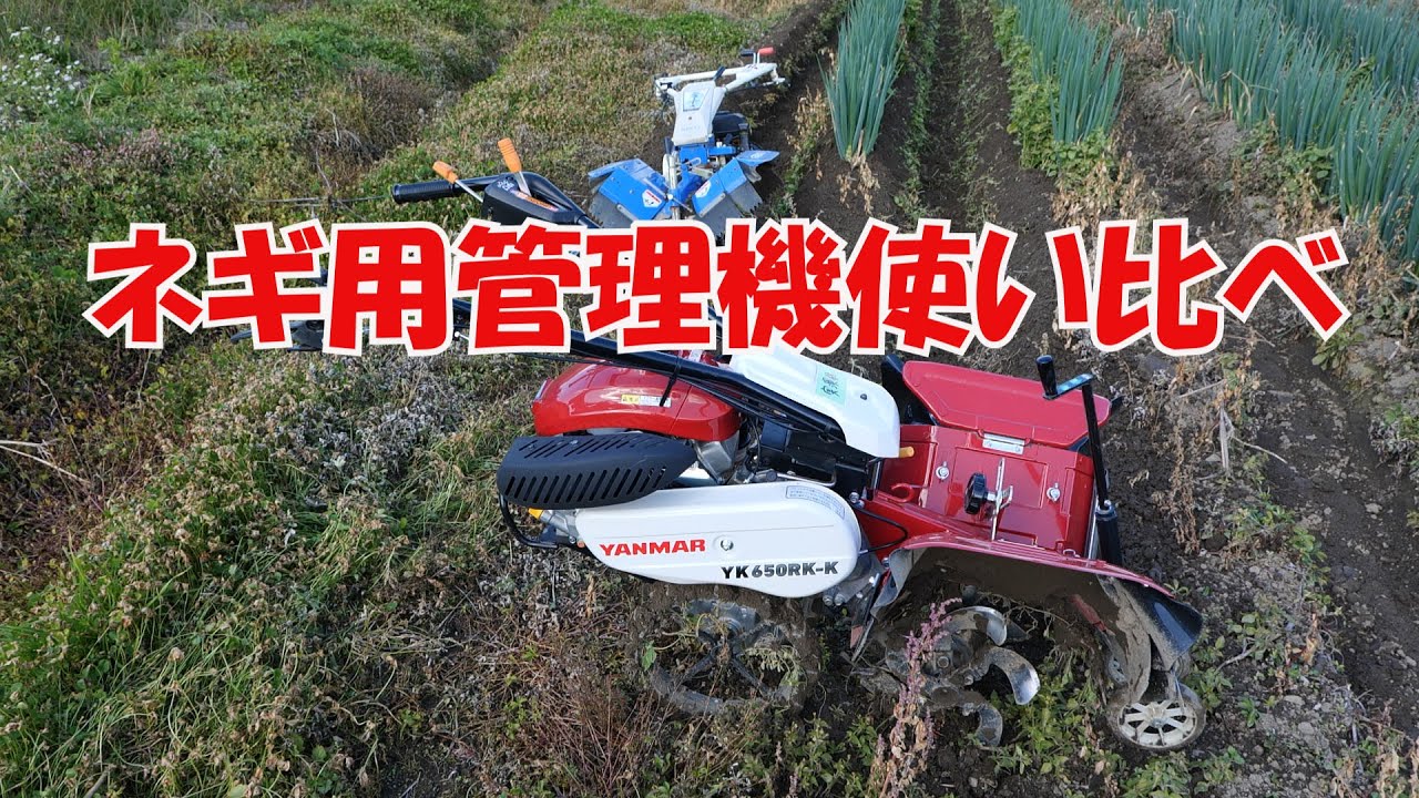 冬ネギ土上げやらなくっちゃ‼イセキとヤンマーのネギ用管理機使い比べ20/11/9