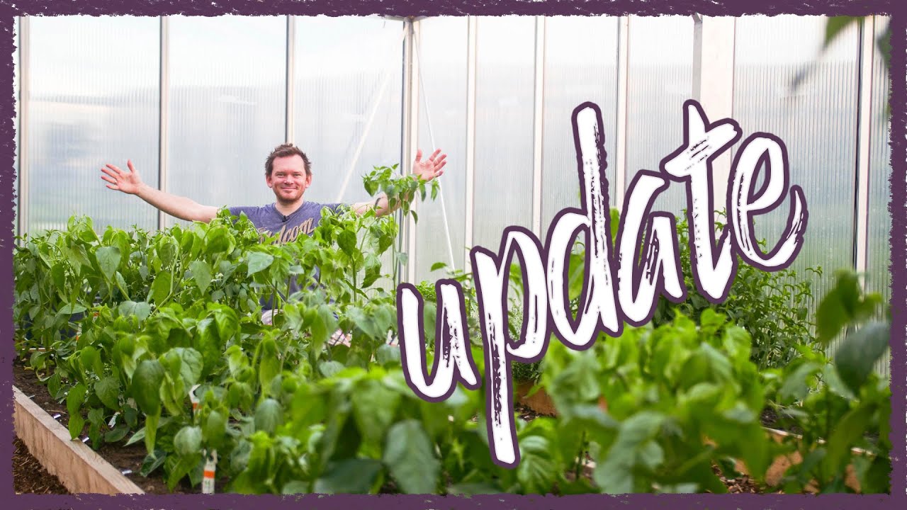 June 2020 Greenhouse Tour! 🌼🍅🍍