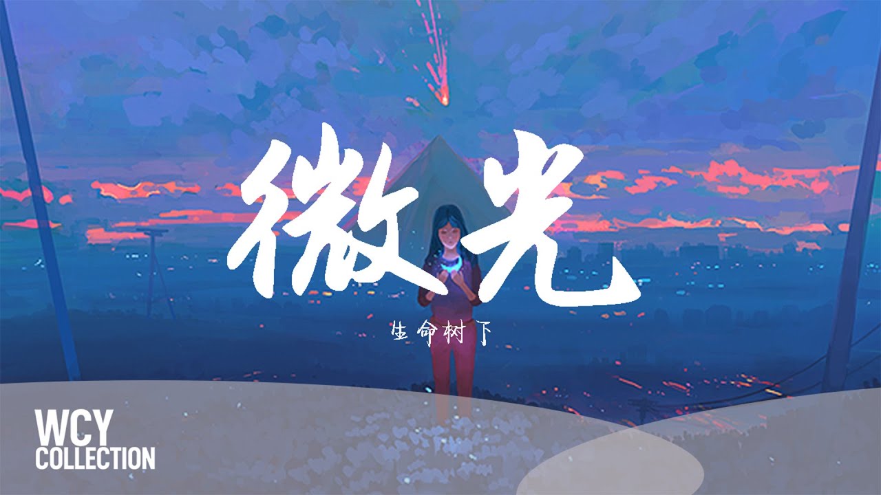 生命树下 - 微光 「夜太长风太凉我在寂静里数着过往」【動態歌詞/pīn yīn gē c&iacute;】