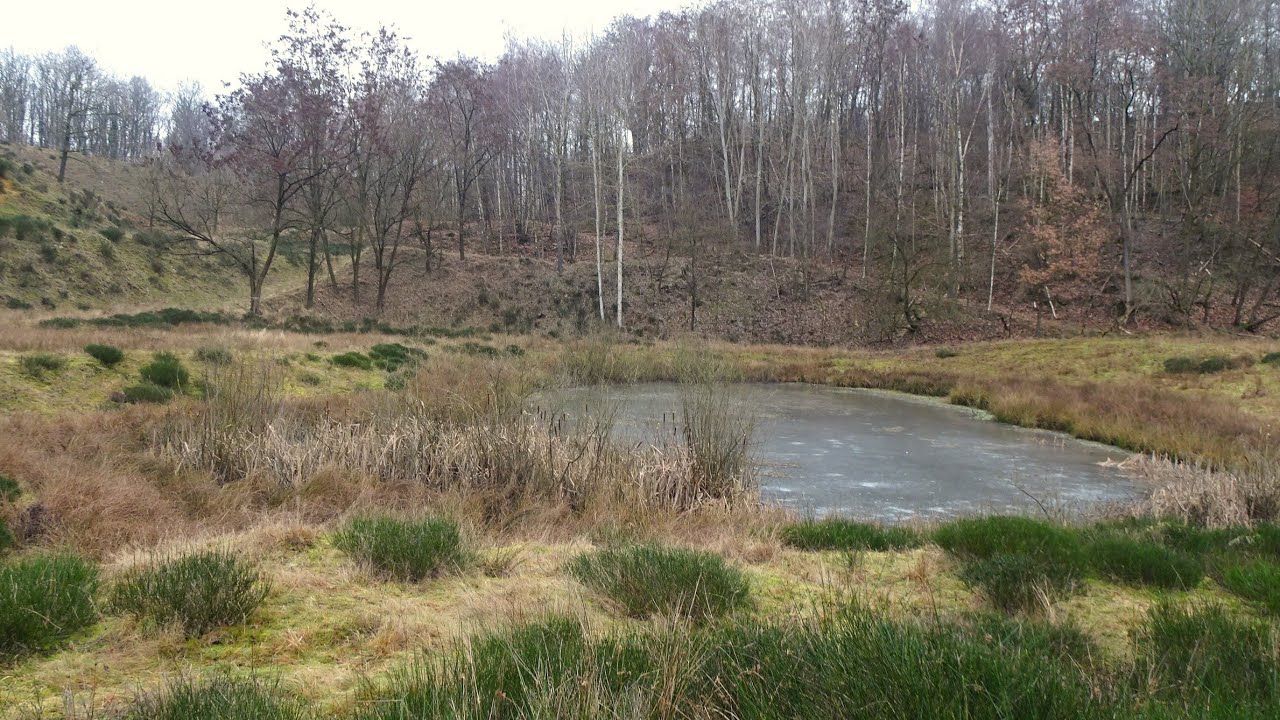 1913 Vilt (Limburg, NL) 5,1 km
