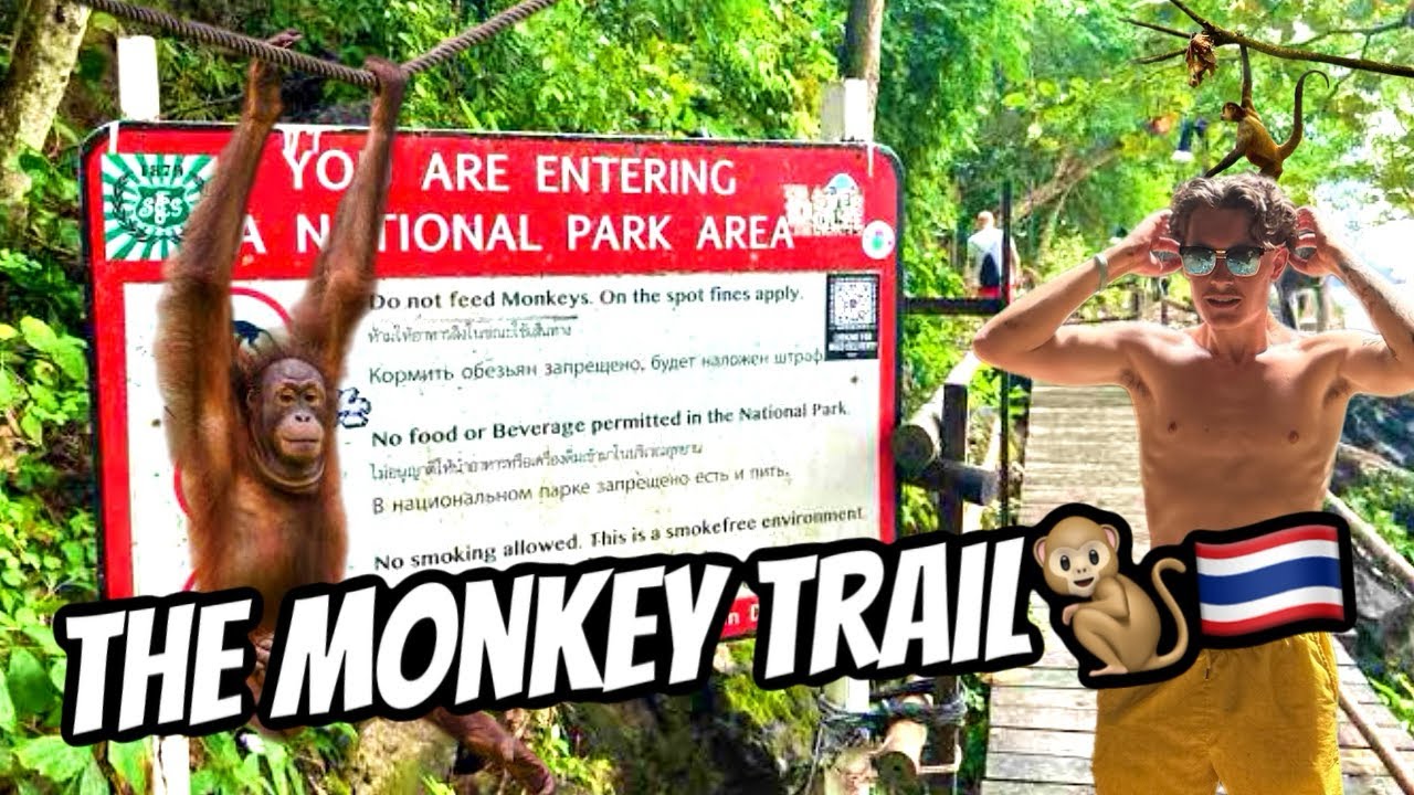 THE MONKEY TRAIL!🐒🇹🇭| TRAVELLING THAILAND S2E8