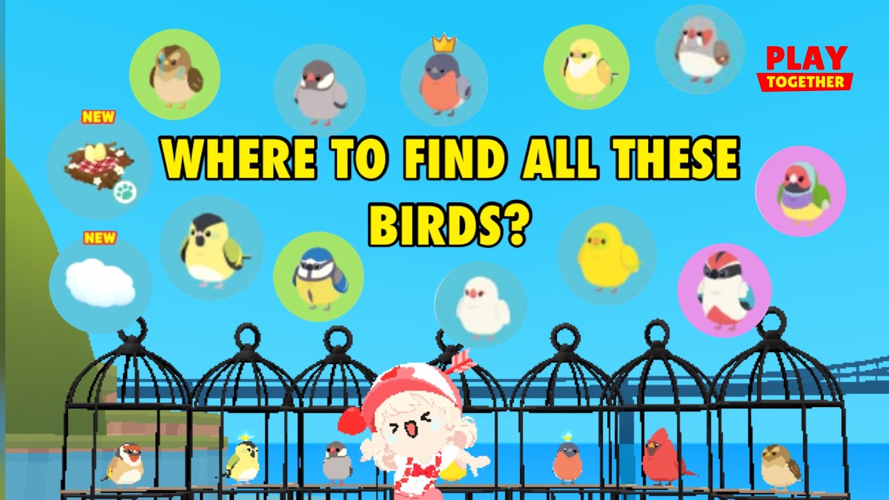 All Bird Locations – Don’t Miss One! #playtogether