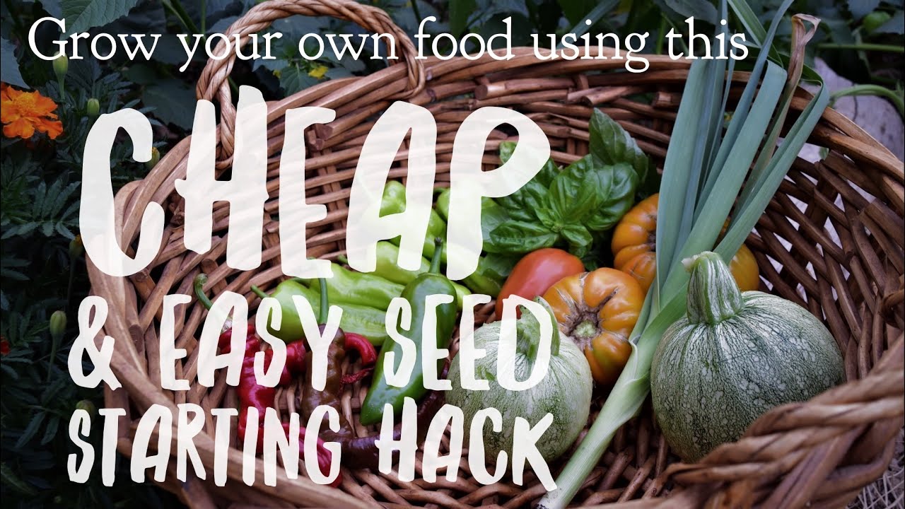 Cheap & Easy Seed Starting Hack - The Winter Sowing Method