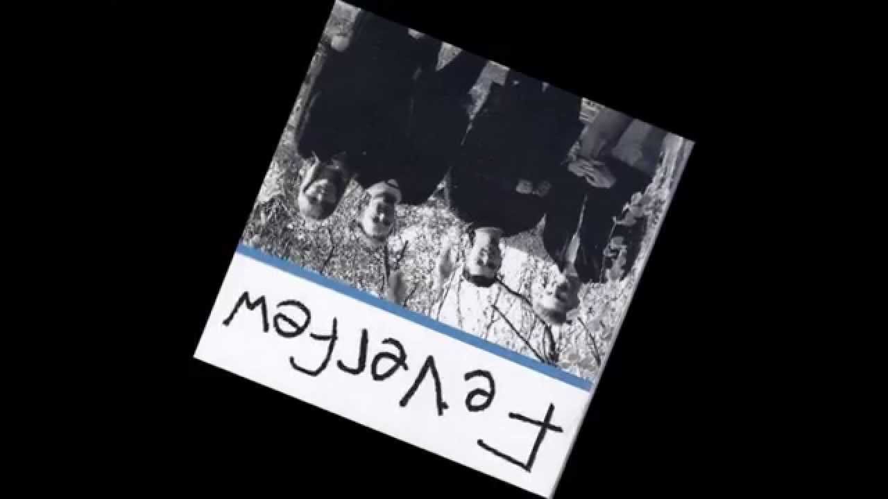 Bed of Roses - Feverfew (before Blueboy)