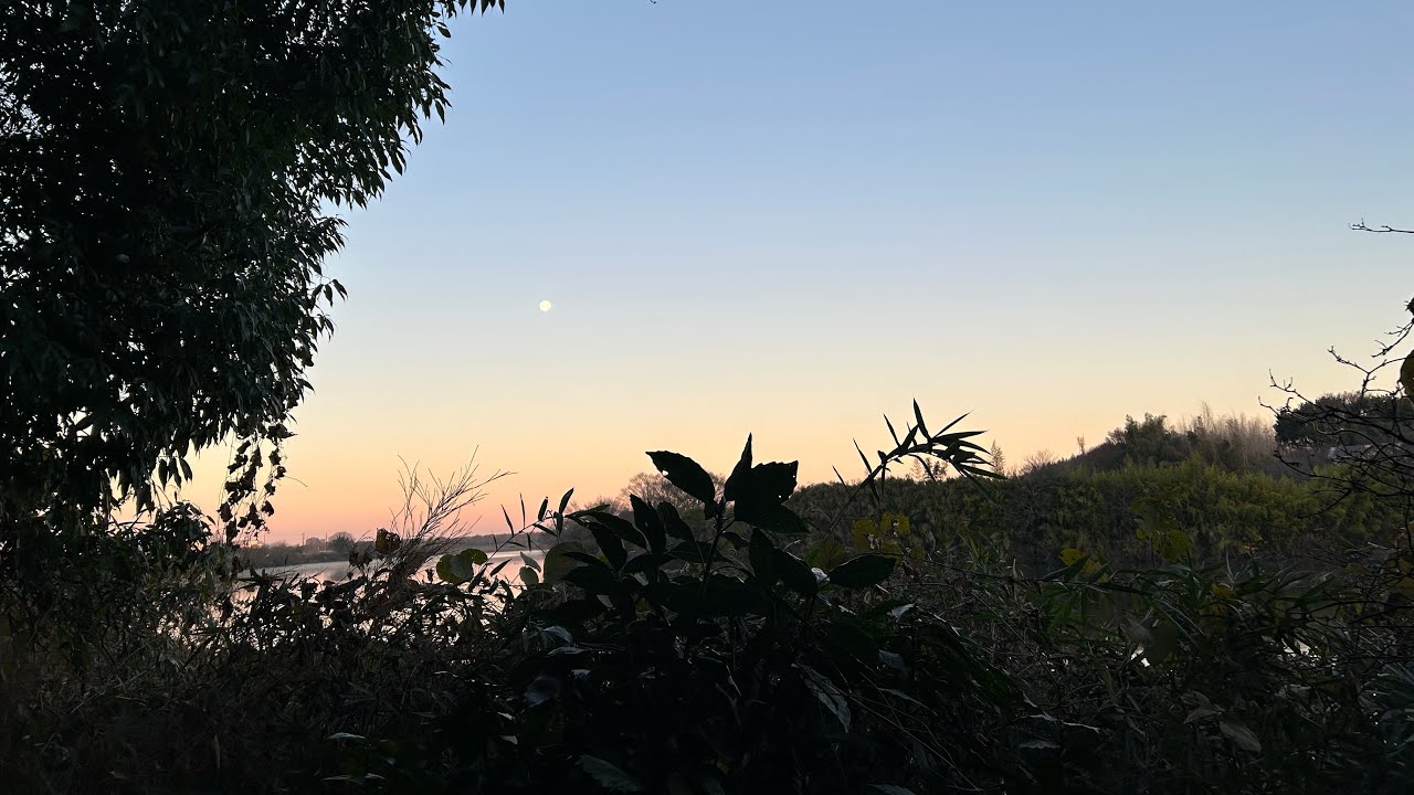 とある沼にて６２