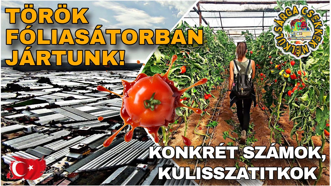Kinek mit intézett a KORMÁNYA...!? KONKRÉTAN itt terem a TÖRÖK PARADICSOM a magyar polcokra!