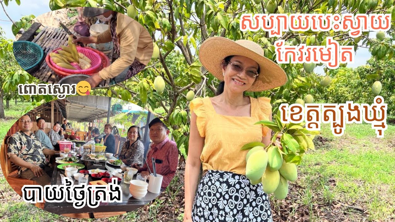 Cambodia Trip 2025 | Pick Mangoes 🥭  in Thbong Khmum Province🇰🇭