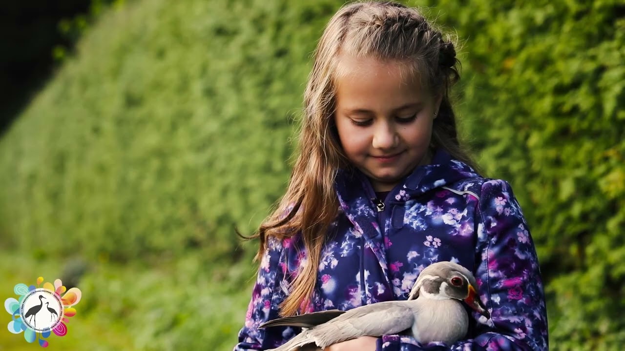 PARK PROSTOŽIVEČIH ŽIVALI DESTRNIK - SLO