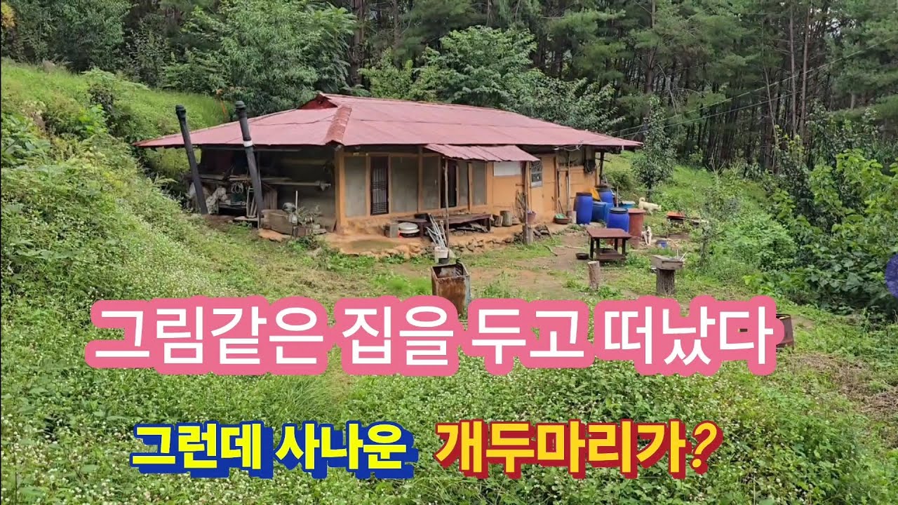여기서 어떻게 살았을까 그 옛날 짓기는 또 어떻게 지었을까?