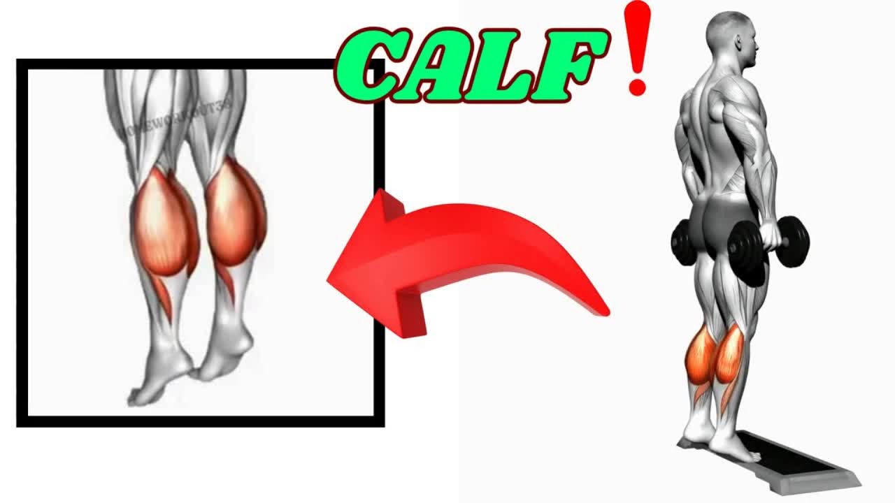 Calf Workout &ndash; Build Strong & Defined Calves 💥 (No Equipment Needed)
