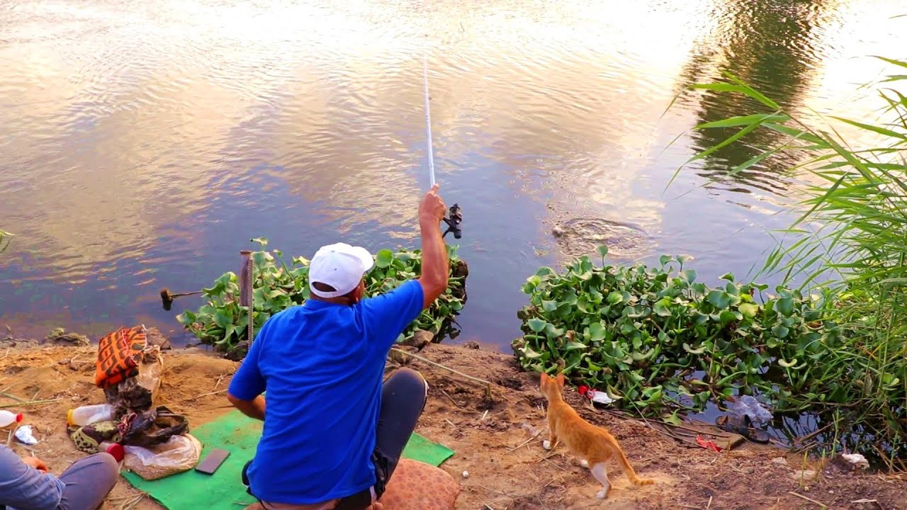 صيد الغلة زى الكتاب ما بيقول متع نفسك Big Fish Tilapia