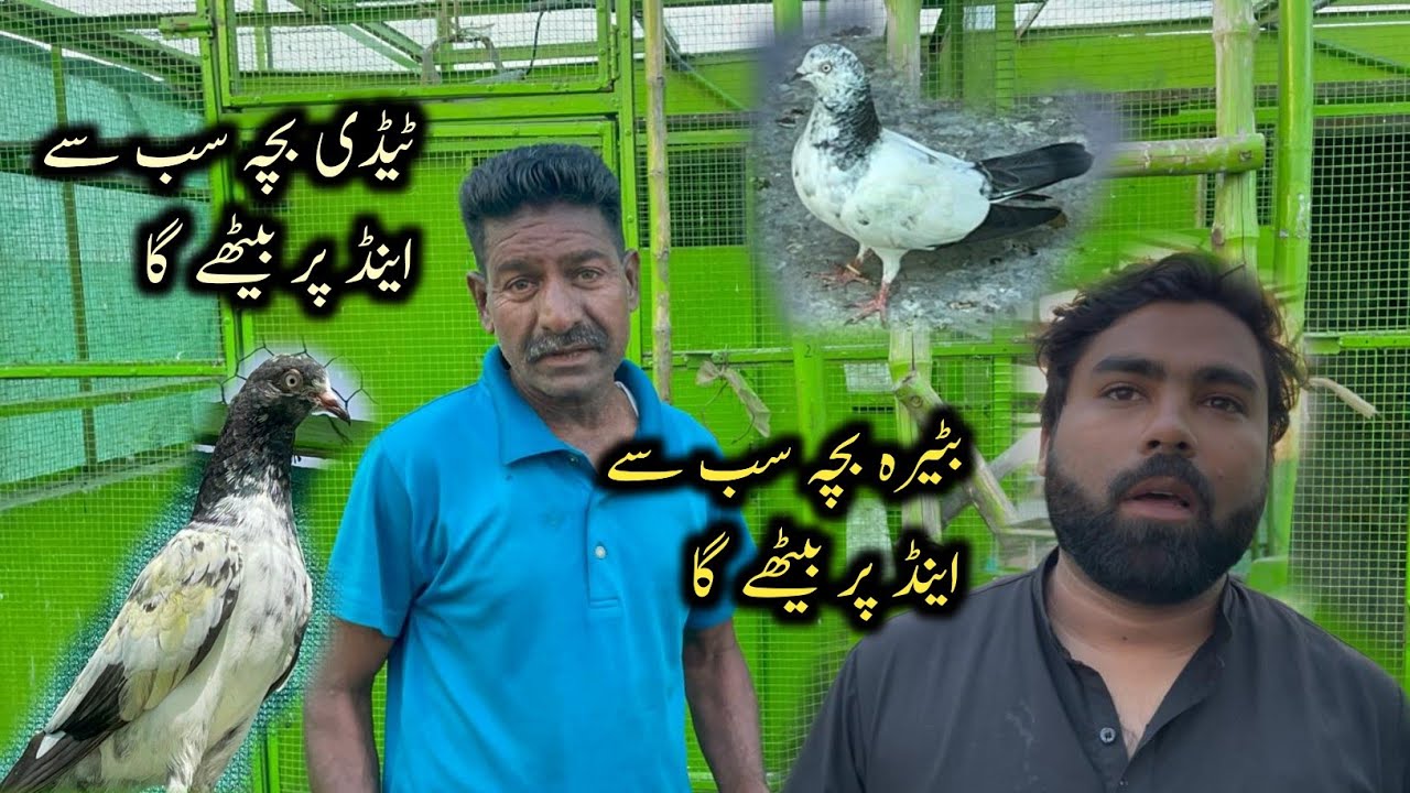 Buhat Din Bad Kabootar Pakra 