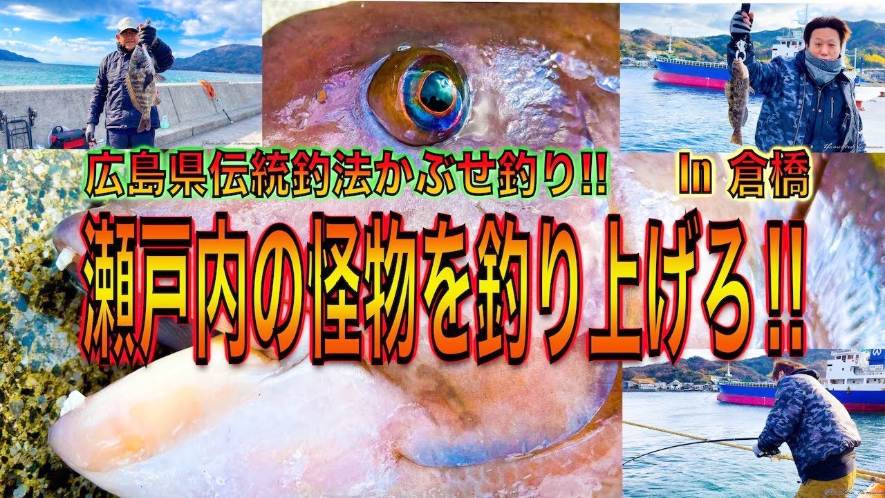 【in  倉橋】広島県伝統釣法 かぶせ釣り🎣瀬戸内の怪物を釣り上げろ‼️