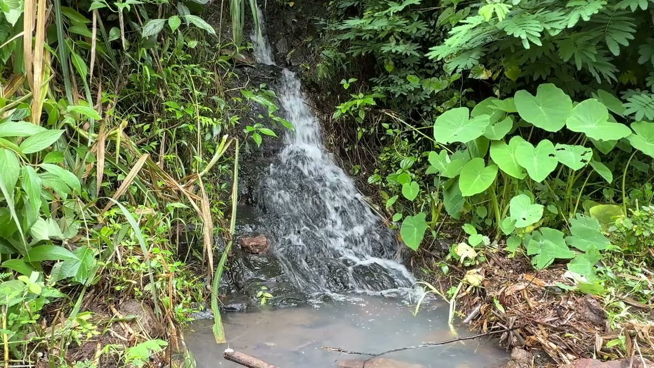 10 Hours Small Waterfall in the forest. Relaxing Nature Sounds, Waterfall. White Noise for Sleeping.