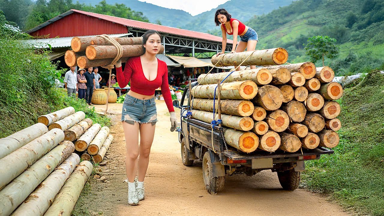 Using Trucks to Buy Firewood and Sell at the Market – Farm Life Adventure