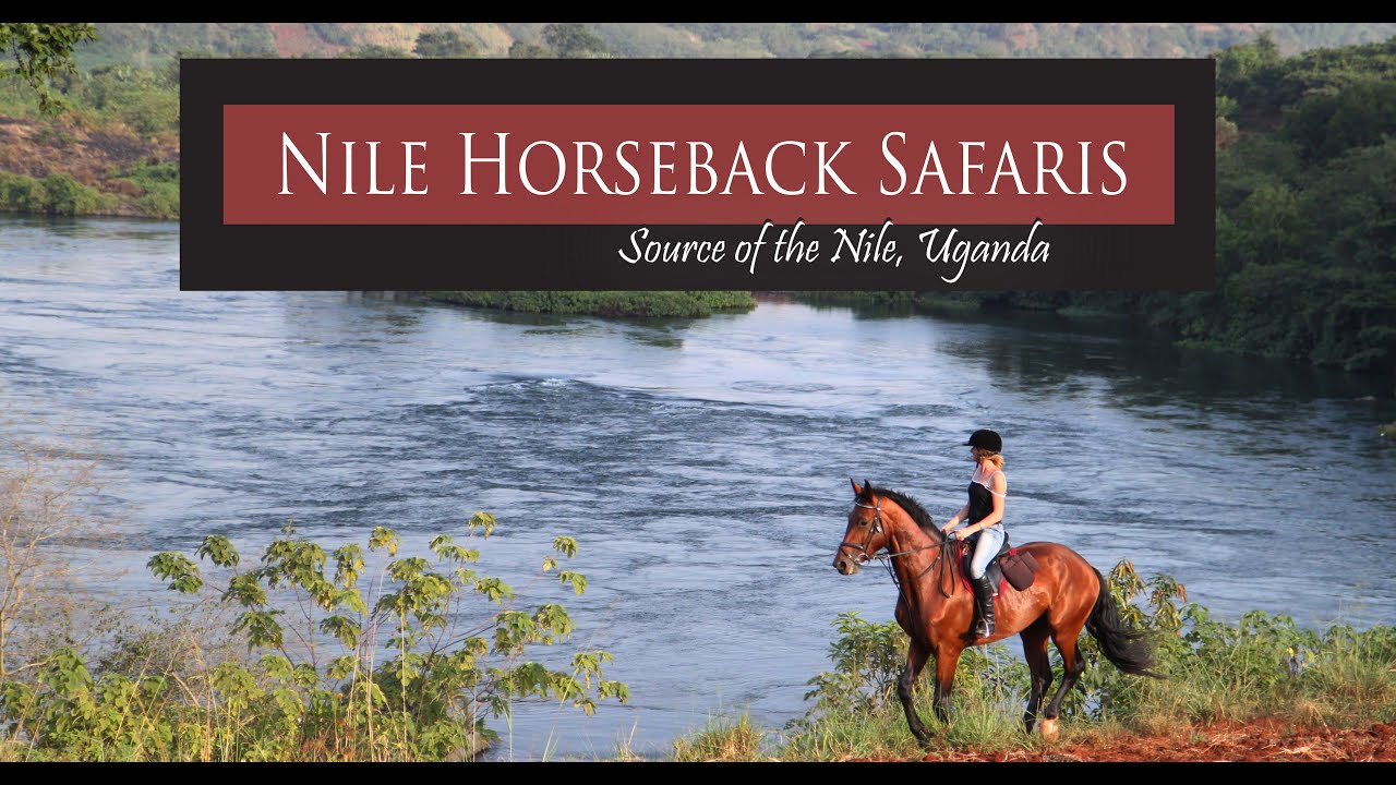 Horse Ride with Nile Horseback Safaris in Jinja Uganda