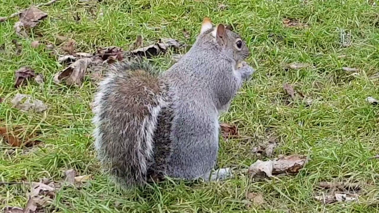 Is There Any Difference With A Lunchtime Visit To My Hungry Dinner Guests ?