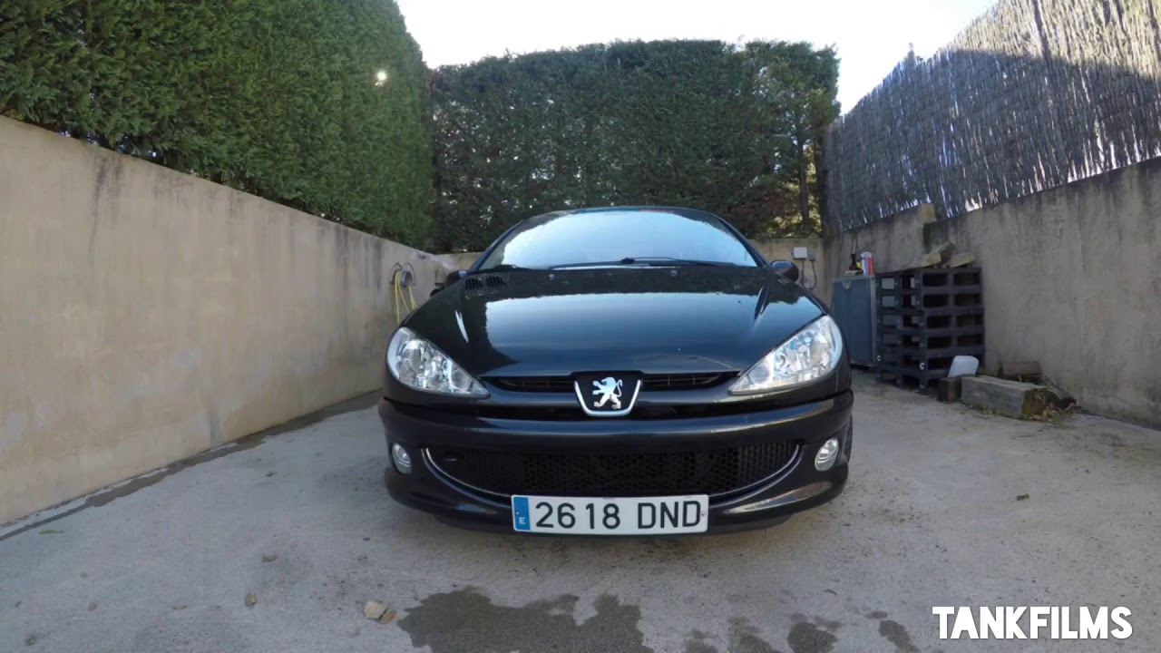 Peugeot 206 RC de Dani