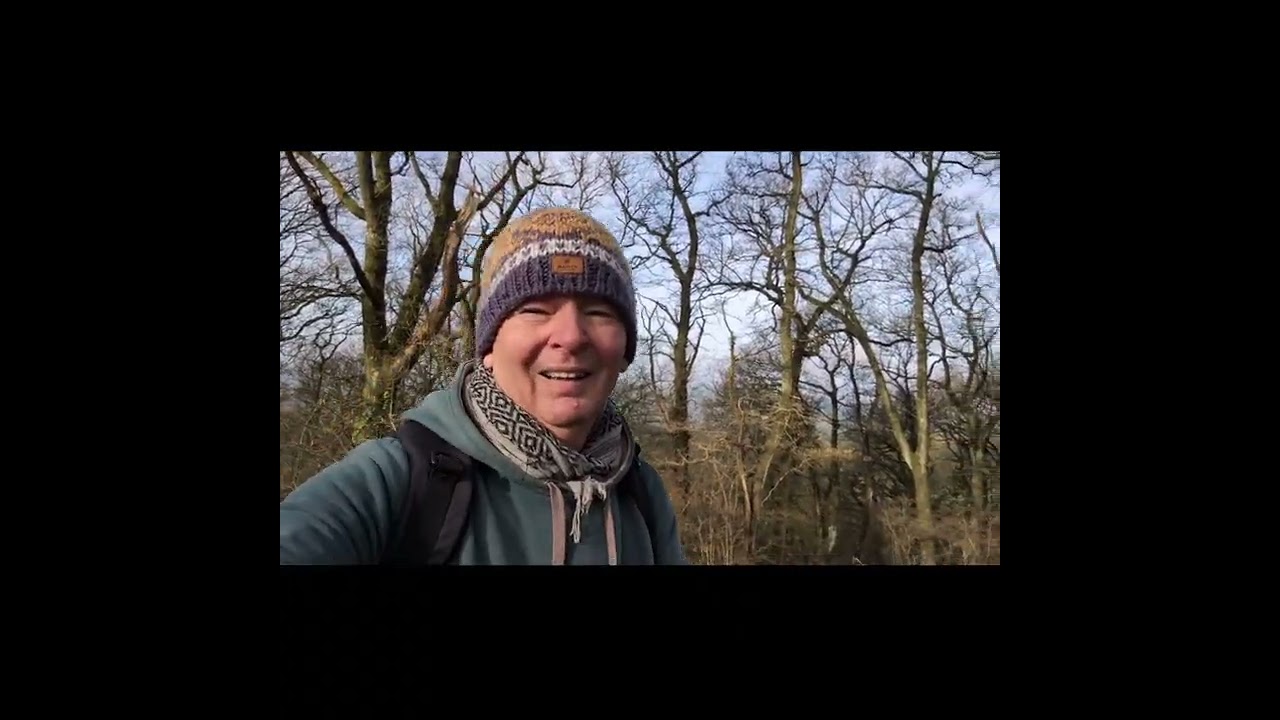 Out and About in Llandrindod Wells Lake Woodland Park 🚶☺️🌳