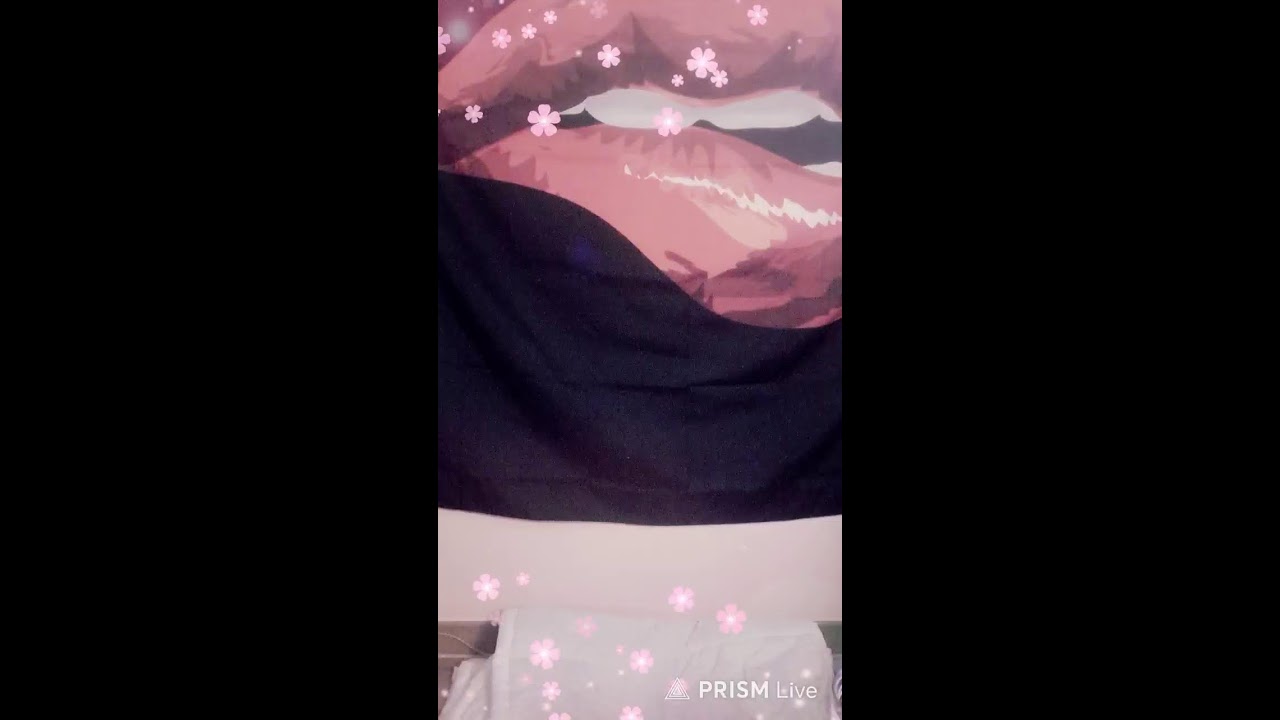술티나 라이브 방송