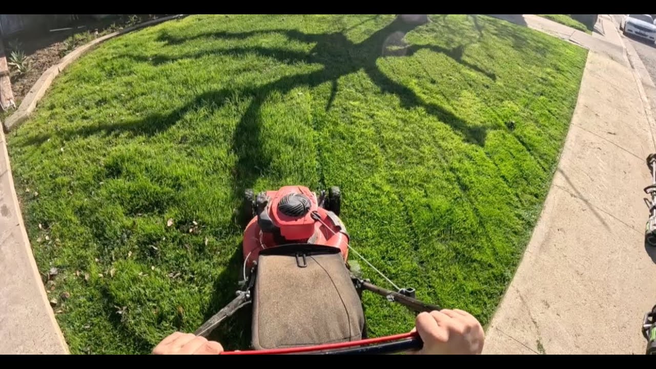 Cutting My First Lawn On Sunday!