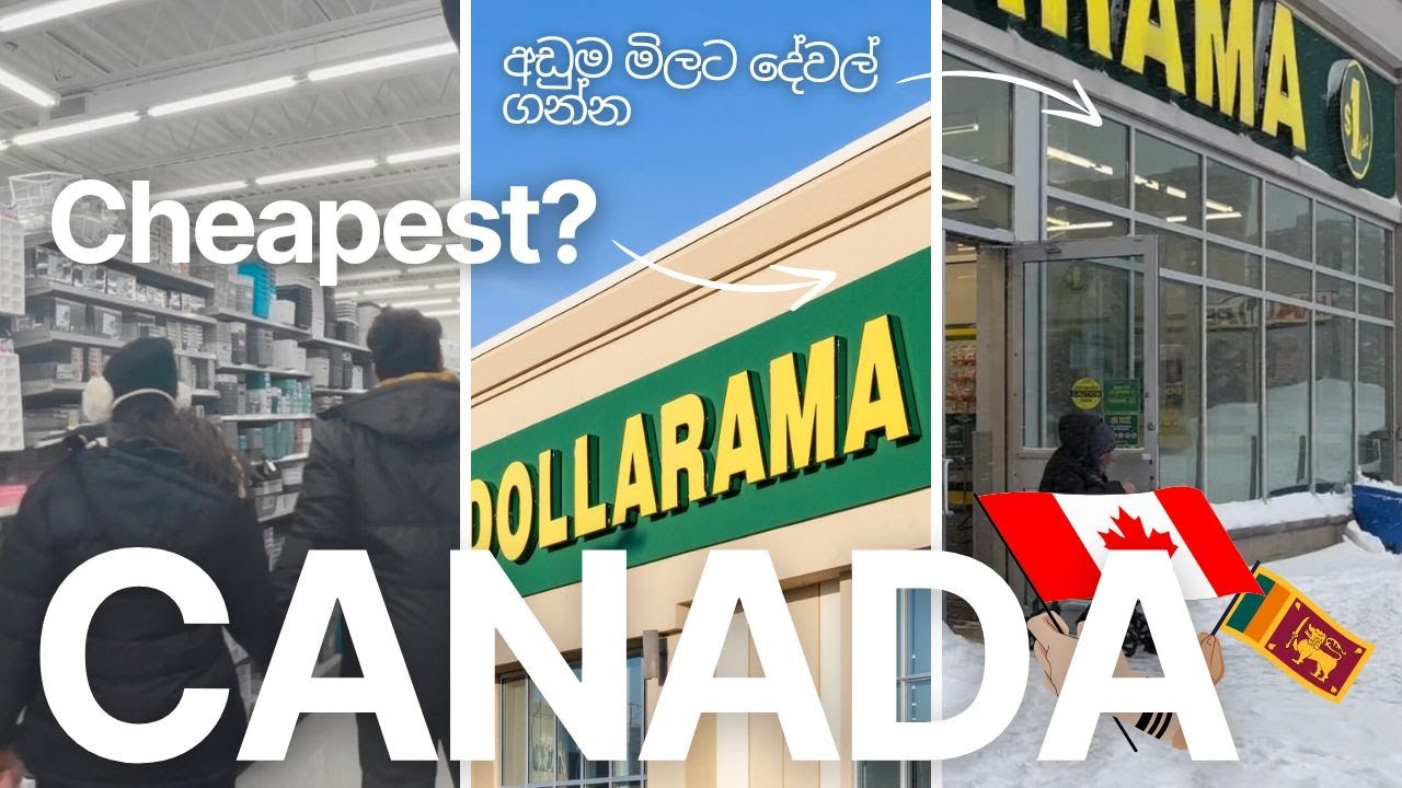 Dollarama Shopping vlog 🇨🇦 Canada වල අඩුවට ජීවත්වෙන්න පුලුවන්ද?
