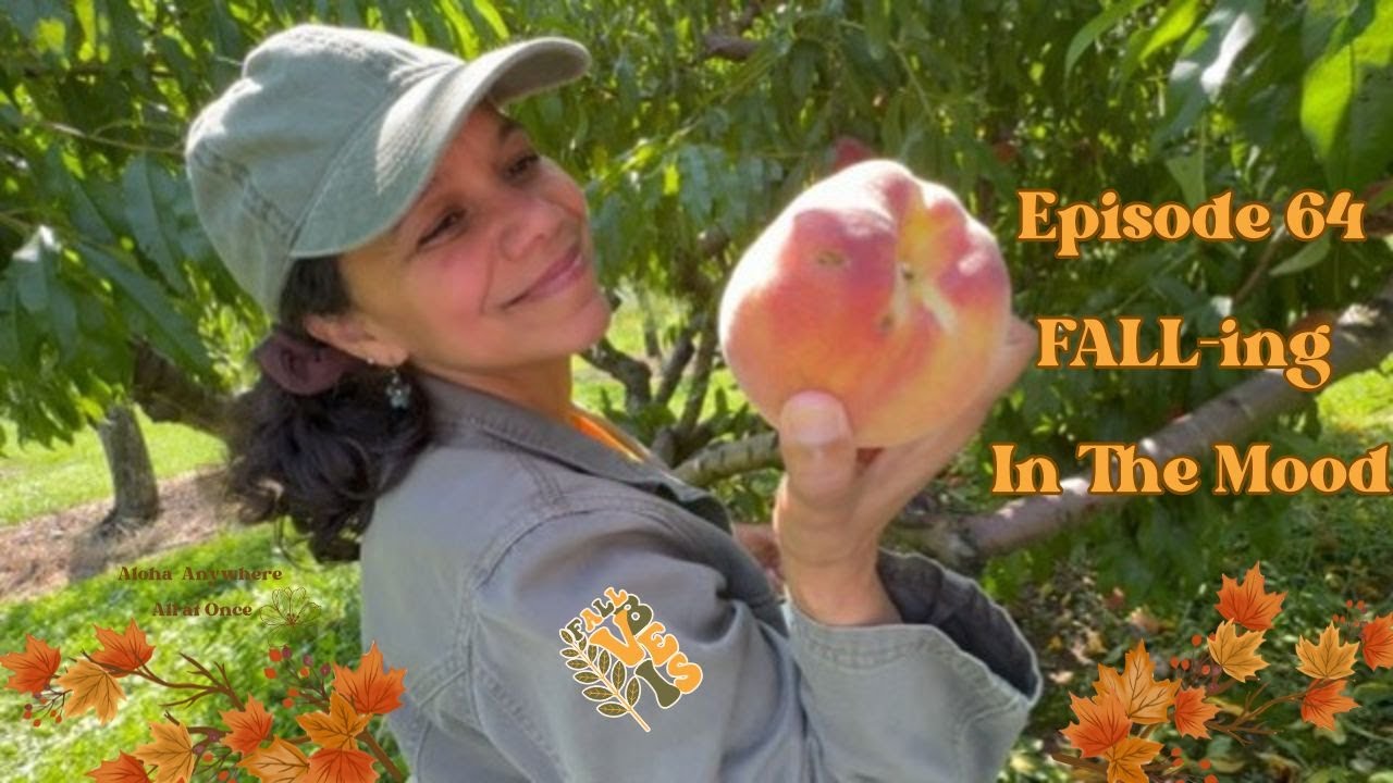 Ep 64 🍁Getting in the Fall mood, nature crafts, painting, and food to inspire you, your day and home