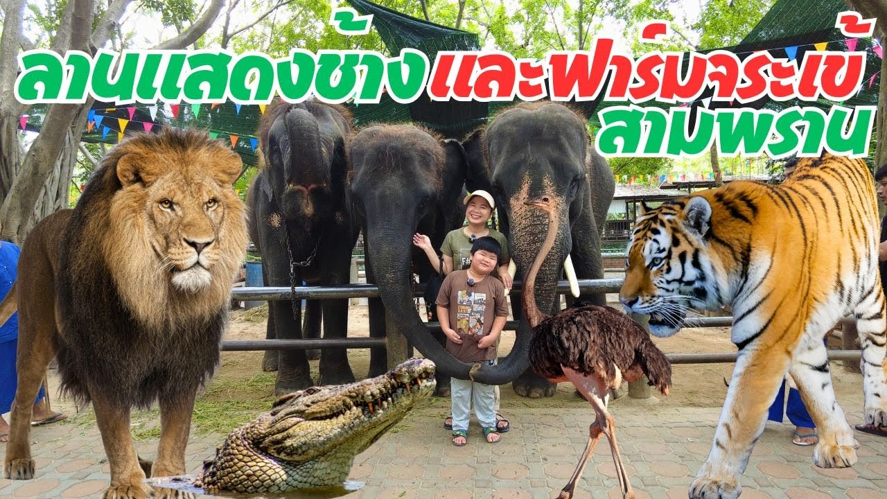 ลานแสดงช้างและฟาร์มจระเข้สามพราน มีอะไรบ้าง จอมทัพกับแม่จั๊บ จะพาไปดู 2025