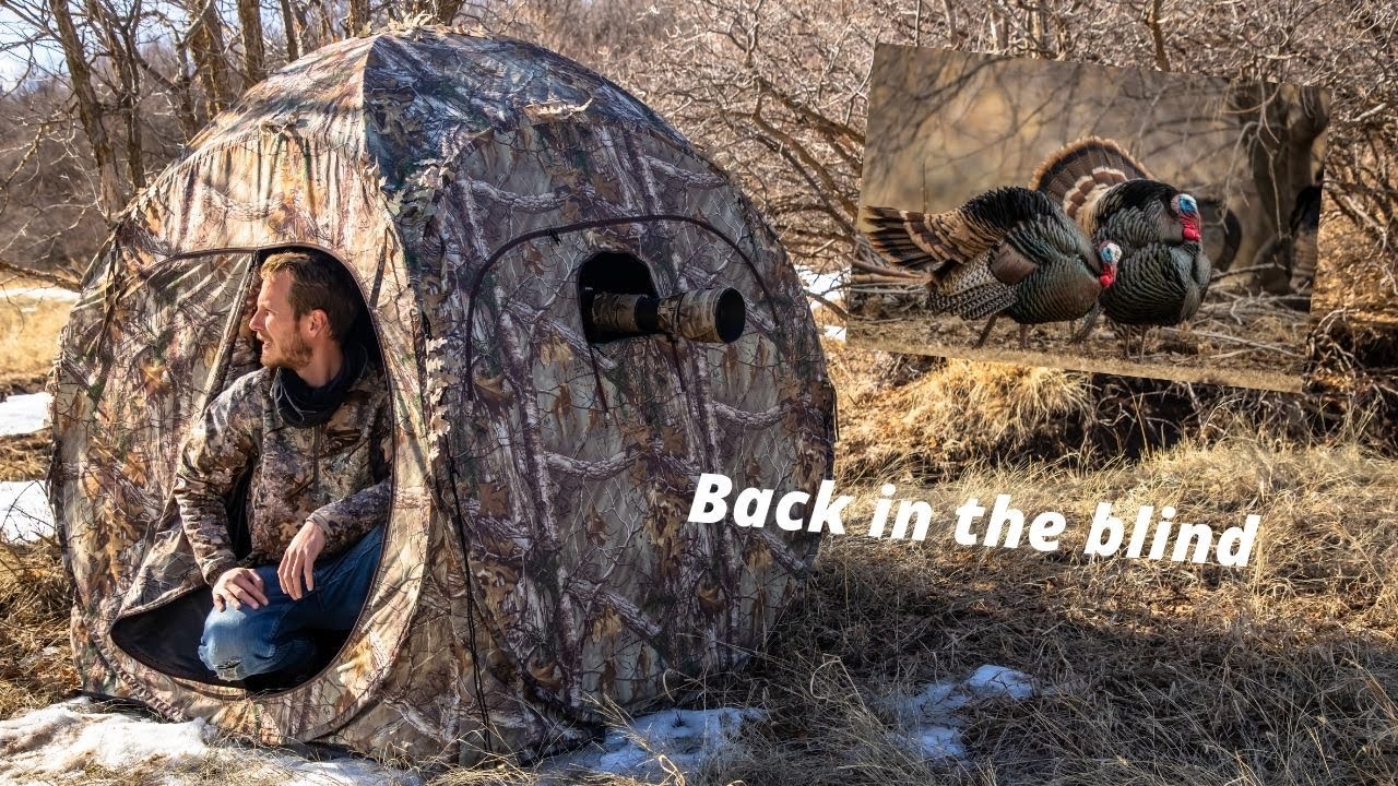 WILDLIFE PHOTOGRAPHY - Using my PHOTO BLIND to help observe and PHOTOGRAPH WILD TURKEYS