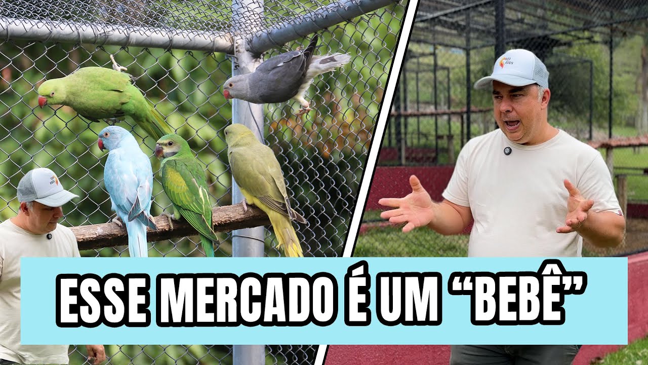 CRIAR AVES: NEGÓCIO DO FUTURO OU MODA PASSAGEIRA