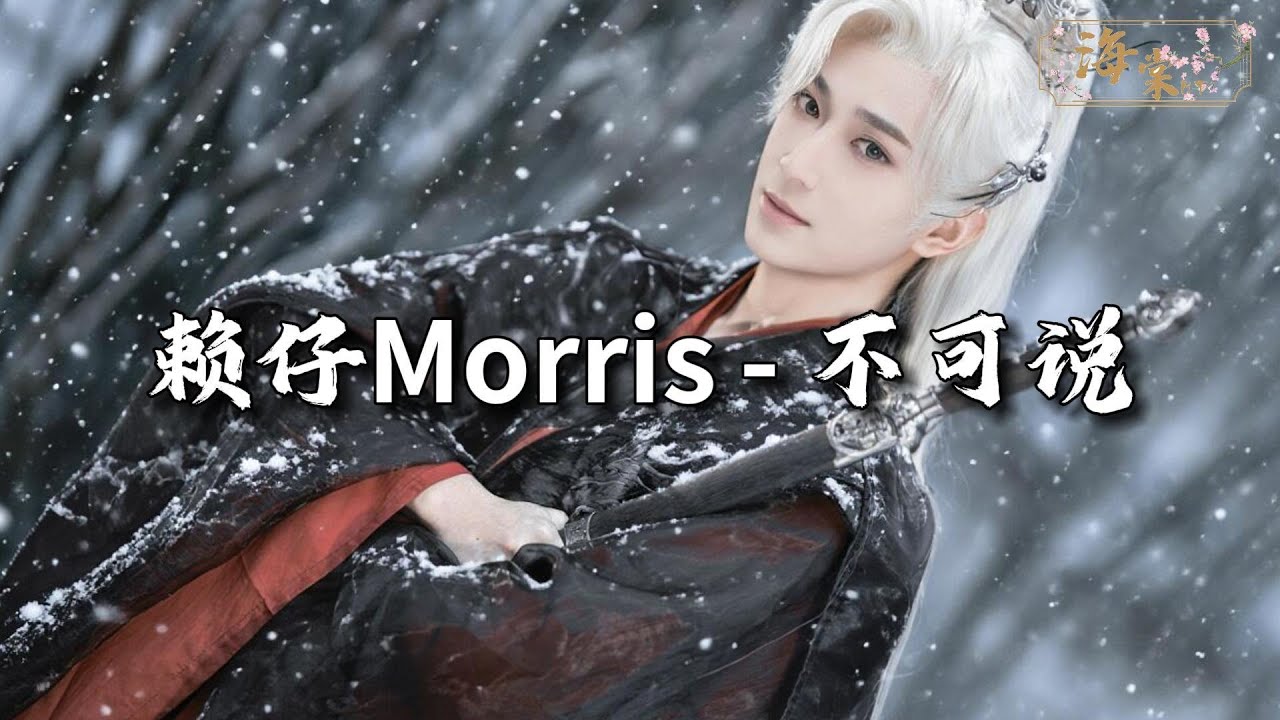 赖仔Morris - 不可说『爱上你爱上了错，失了你失了魂魄。』【动态歌词MV】