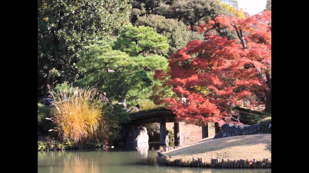 六義園　紅葉 特別名勝 大名庭園 平成25年11月23日