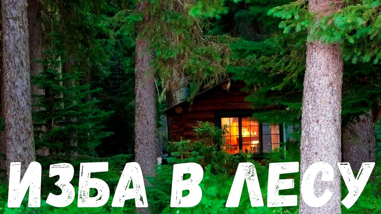 Изба в лесу. Страшная история.