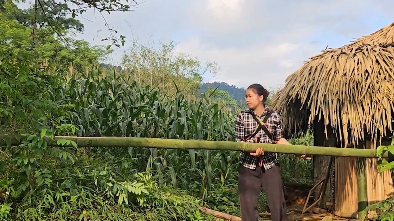 A Kind Woman Helped a Single Mother Turn a Forest House Into a Dream Home