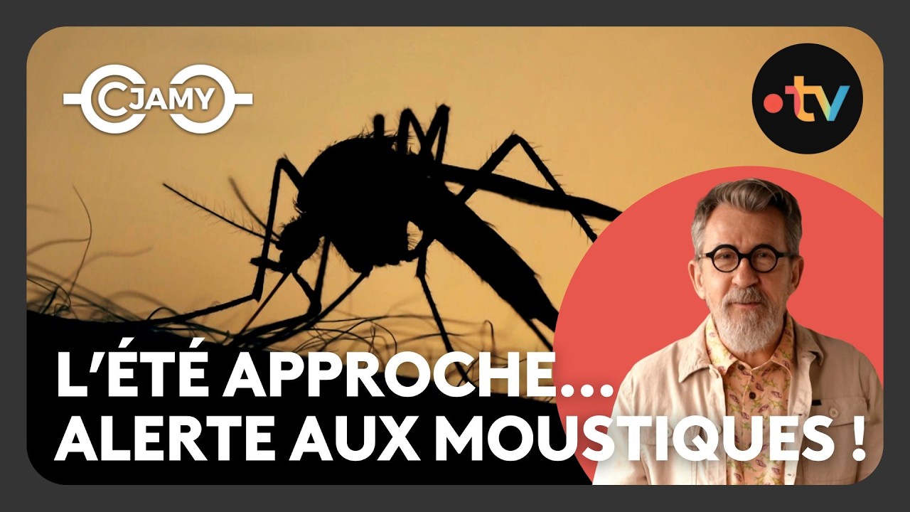 Moustiques : Piqûres, prévention et secrets bien gardés ! - C chaud - C Jamy