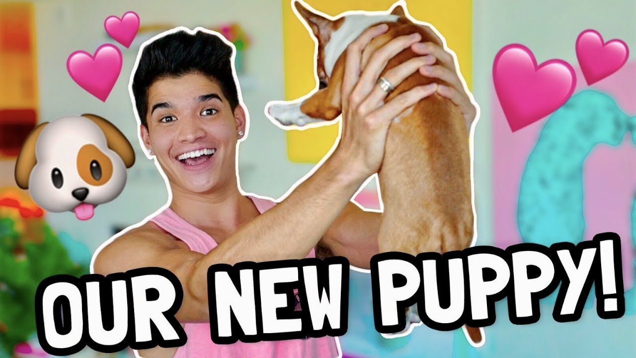 I'M A FATHER! (NEW PUPPY)